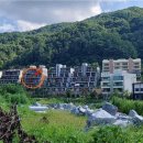 여주-0773 Daum카페