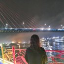 [여수] 오동도/낭만포차거리/돌문어상회/돌문어삼합/여수밤바다/하멜등대
