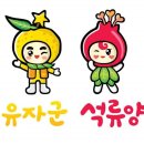 고흥유자석류축제 이미지