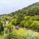 제주커피박물관바움 이미지