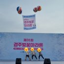 소방서삼거리 주변 | 경주 벚꽃 마라톤 5K 코스 참가 후기