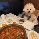 씨유제주성산중앙점 | 제주 동쪽 갈치조림 가성비 강아지동반식당 - 성산갈치맛집 (메뉴판, 주차)