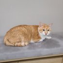 유니온동물병원 이미지