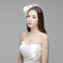플라비 이미지