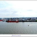 엘베강독일 이미지