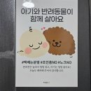 바른몸애대구수성점 네이버블로그