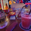 인하쿠나마타타 이미지