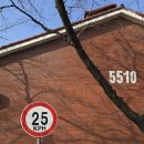 용산기지 옛 미군장교숙소(현 용산공원) | 초보러너 _ 이국적인 용산공원장교숙소5단지에서 러닝