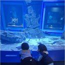 한울타리어린이집 이미지