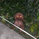 가인동물병원 이미지