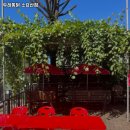 두레통닭(소요산점) 네이버블로그