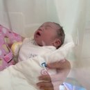 원에프짐 이미지