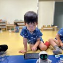 푸른나무반 - 디지털 체험의 날 견학 🤖🎶 이미지