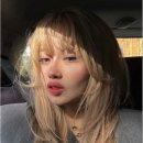 아즈뮤헤어 이미지