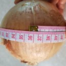 동서로마트 이미지