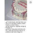 두디케이크