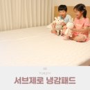 포렌 여름 냉감패드 침대쿨매트 추천 여름이불 시원해요