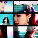 더독스 미니 이미지