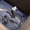 오성2농장 이미지