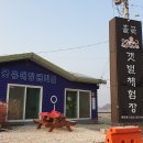 대부관광농원 오캠핑