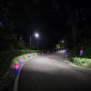 청사초롱 이미지