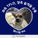 언제나동물병원 이미지
