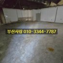 동인애견샵