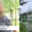 유성동양경매장 이미지