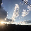 세성사료 | 고수의 길은 힘든 법.