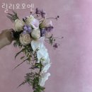 릴리오오엔