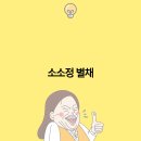 소소정별채