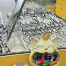 으뜸아이안경 | 동대신동안경 서대신동안경원 추천 으뜸아이안경 대신점