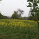 장암금강변 이미지