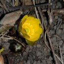 찬물내기 이미지