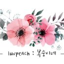 스시마찌 이미지