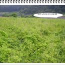 태기산농장 이미지