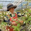 임영순농장 이미지