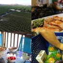 크린에코 이미지