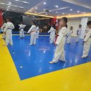 월드스타클래스태권도장 이미지