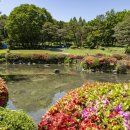 뉴코리아 이미지