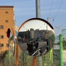 강릉농협하나로마트 정동점 이미지