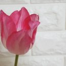 신선축산 이미지