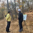 치유의 숲 이미지