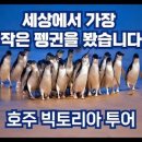 (주)이투어세상 이미지