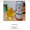 홍대입구역 맛집 냐냐쿤연남 가성비 솥밥 점심 솔직..후기