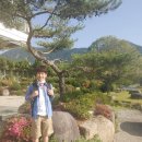 진교중학교 이미지