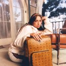 봄 여름 이미지