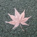 서부이용원