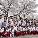 무혼 국가대표 MAS 태권도장 이미지