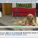 이군포차 이미지